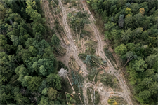MEPs hammer out compromise on environmental permitting regulation