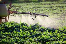 EU top court strikes down approval of hazardous pesticide