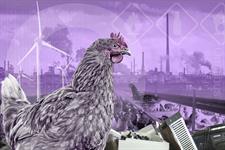 Environmental omnibus: What are set to be the most contested elements of the package