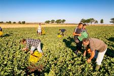 EU shines spotlight on vulnerable workers this International Migrants Day