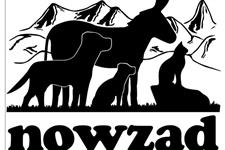 No regulatory concerns at Nowzad, commission says - Vimarsana News