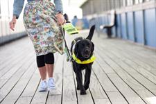 tom wright guide dogs