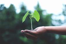 Value of UK social investment market increases by a third to £3.5bn