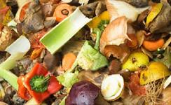 Willand Biogas wins food waste deal | ENDS Waste & Bioenergy