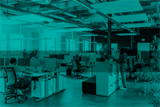 Employers plan to spend more on tech than people over next year, survey finds