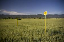 Enagás and Naturgy probe green hydrogen production from wind - Vimarsana News