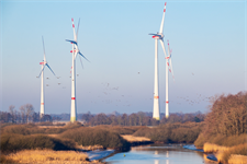 WindEurope: EU’s ecology ‘stress test could add years’ to wind farm permitting in Europe