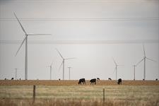 US court orders Pentagon to lift freeze on wind permitting