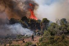 Probe launched after wind farm power line 'blamed for wildfire'