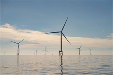 Developer drops offshore wind projects after losing out in UK's mega auction