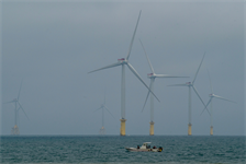 Taiwan rethinks local content rules for 3.6GW offshore wind auction