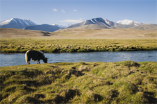 Tajikistan 'eyes Russian and Chinese suppliers' for 2GW wind goal