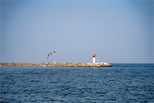 Canada wins lengthy dispute over US developer's dormant offshore wind project