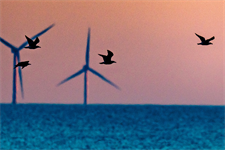 Vineyard Wind sues GE Vernova as US offshore wind dispute flares