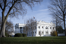 Trump pauses leases for all under-construction US offshore wind farms