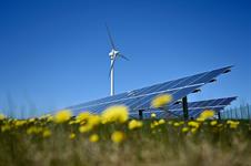 Wind squeezed out by solar PV in latest Polish auction