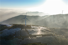 Wind and solar boost energy security by cutting fossil fuel imports — Ember