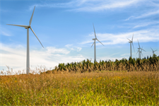 Maine bucks US trend with go-ahead for 800MW onshore wind farm