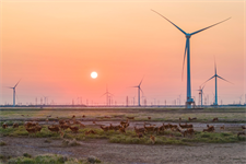 China installs 37GW of new wind power in single month