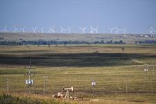 Updated: Enel ordered to pay damages and given deadline to tear down wind farm