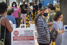 The Vaccine Project Newsletter: The last miles are the hardest - Vimarsana News