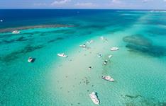 Cayman Islands Tourism Department names Allison DEI AOR