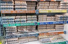 American Egg Board takes another crack at social media marketing post-bird flu setbacks