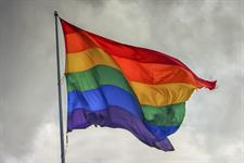 Brands plan for a quiet Pride Month - Vimarsana News