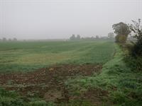 Church submits plans for 1,600 greenfield homes