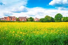 Natural England will not consider development viability when setting nature restoration levy, regulations reveal