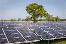 Energy secretary approves 191-ha countryside solar farm despite visual impact