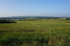 England’s green belt shrinks for third consecutive year