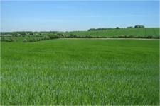 Plans submitted for 2,500-home garden village on unallocated greenfield site