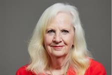 Formation of strategic plan-making bodies not impeded by local government reorganisation pause, minister confirms