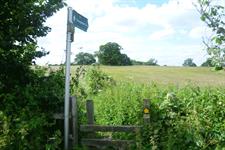 London housing schemes taking place on 10% green belt could be disqualified from temporary CIL relief