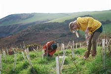 Nature restoration levy ‘may be unworkable for large, multi-phased consents’ under draft regulations, lawyer warns