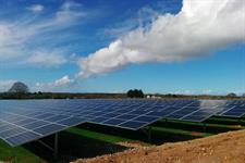 Council approves solar farm proposing 273% biodiversity net gain 