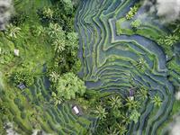 How destinations can prepare for the new sustainability law
