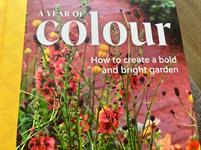 Book review: A Year of Colour