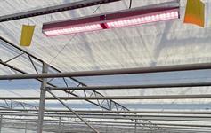 Light Science Technologies raising £6.6m to expand