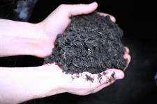 Scottish peat-free maker launches