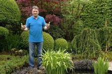 alan titchmarsh gardening gloves