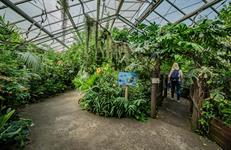 Chester Zoo to gain international botanic garden status
