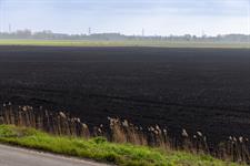 HTA and Peat-free Partnership to tell MPs about UK peatlands