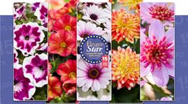 Five candidates competing for FleuroStar - Vimarsana News