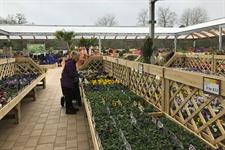 Growers And Garden Centres Think Of New Ways To Get Plants To