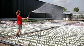 Options for nurseries to overcome water-supply challenges