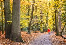 467 green spaces across London to fly Green Flags this summer - Vimarsana News
