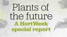 HortWeek report exposes disconnect between retail trend for plant 'premiumisation' and climate pressure