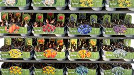 Product Special: Pre-printed labelling and POS to inspire customers